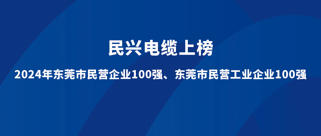 民興位列第15位！2024年東莞市民營工業(yè)企業(yè)100強(qiáng)榜單發(fā)布